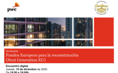 Encuentro digital sobre el Plan Europeo de Recuperación