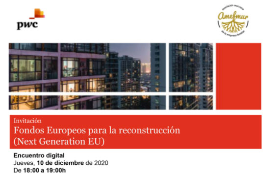 Encuentro digital sobre el Plan Europeo de Recuperación