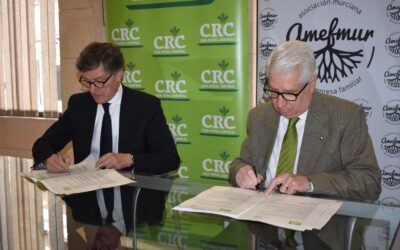 Amefmur y Caja Rural Central renuevan su alianza para impulsar la competitividad de las empresas familiares de la Región